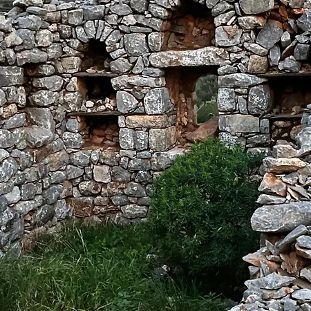Nigos